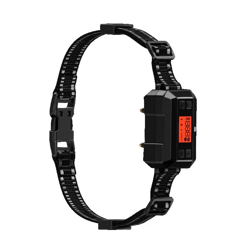 Chip GPS Wireless Dog System