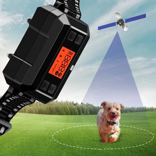 Chip GPS Wireless Dog System